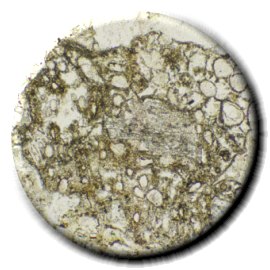 HMG pumice tuff